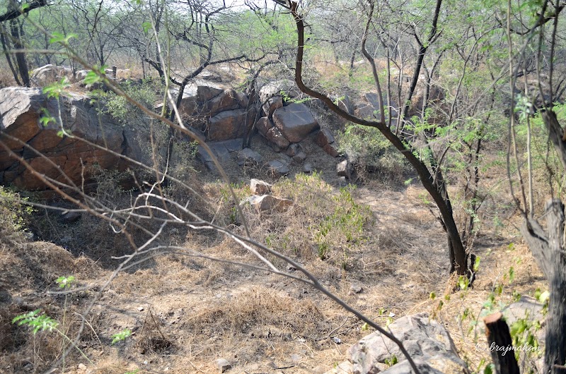 Central Ridge Reserve Forest