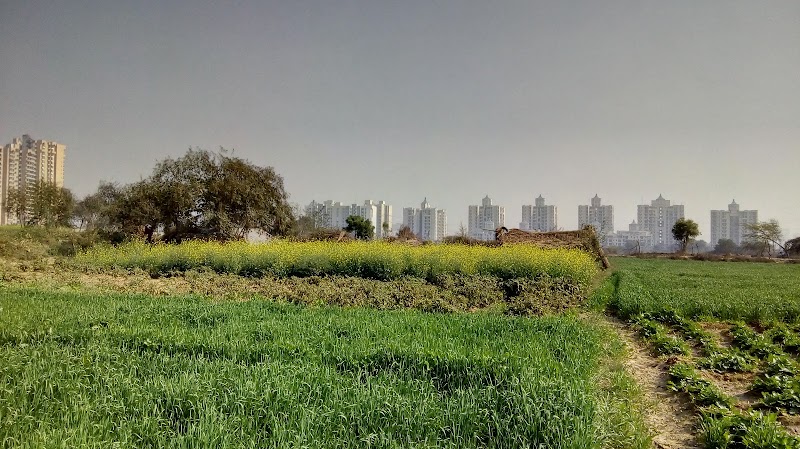 Gulistanpur Village