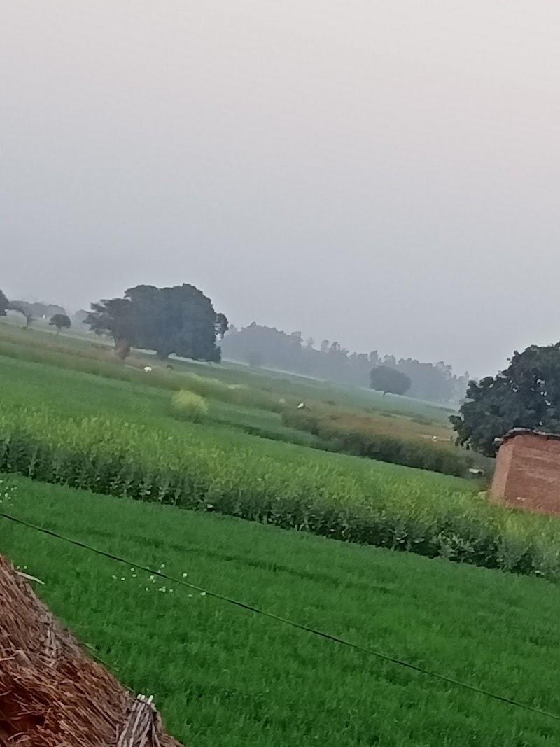 Jalpura