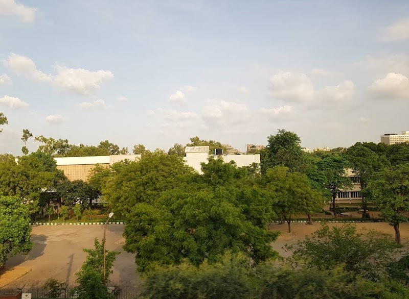 Pusahill Forest Area